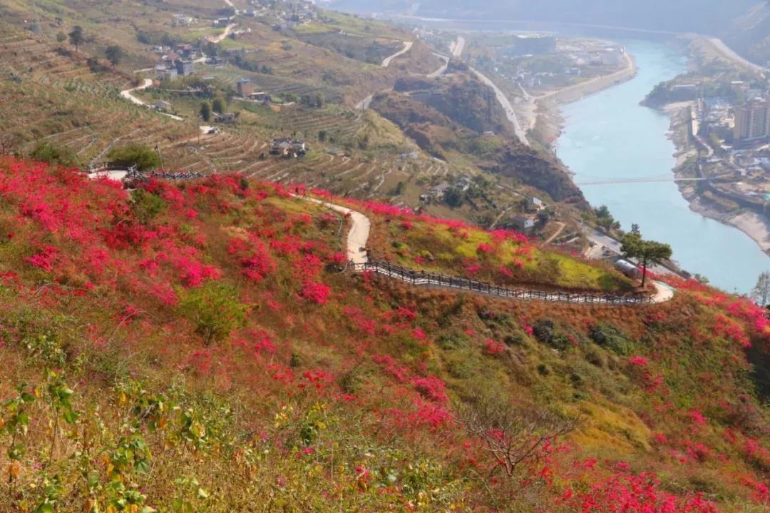 云端棧道一日游，健身娛樂兩不誤