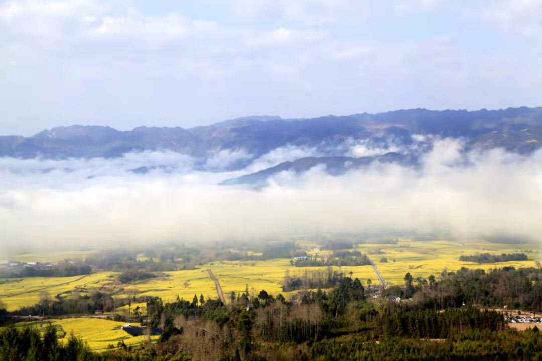 巍巍高黎貢：傳奇的世界物種基因庫，譜寫生命的長歌