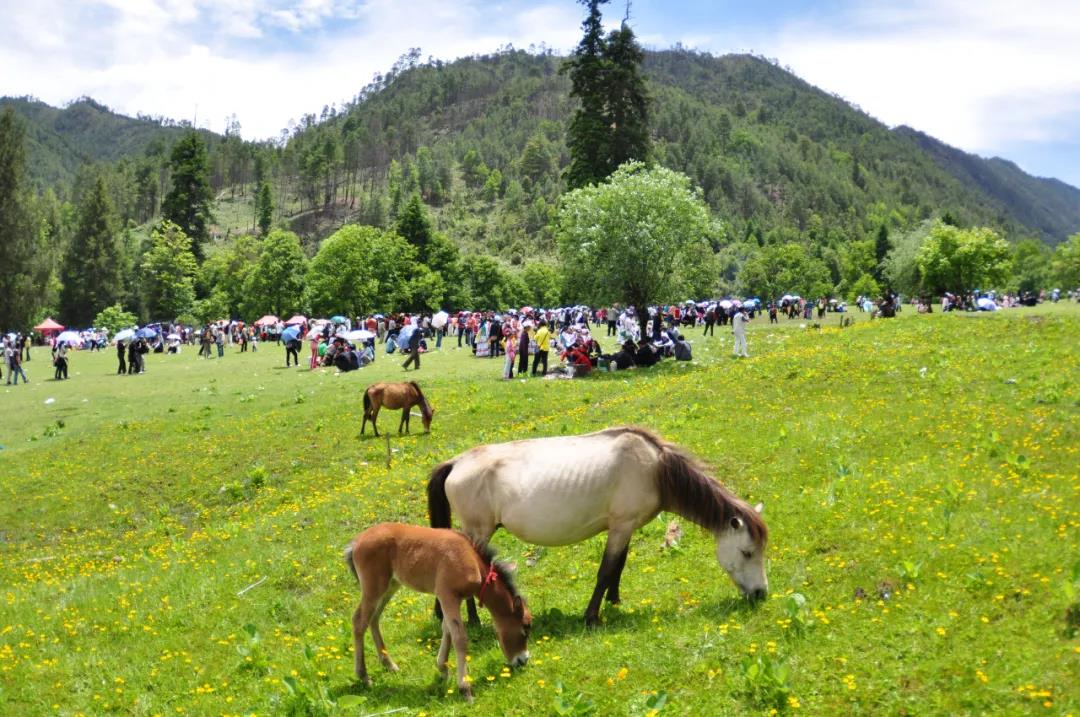 五一出游，蘭坪這些小眾景點一網(wǎng)打盡！