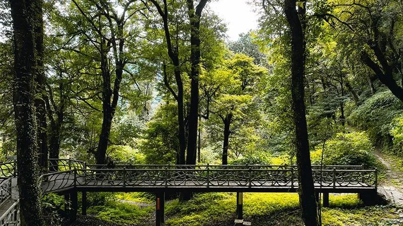 怒江活動(dòng)策劃：有一種生活叫云南的怒江丨一起去姚家坪，上一堂自然課