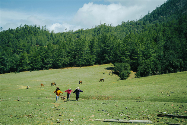 云南旅游,云南旅行社,云南團(tuán)建公司,云南策劃公司,云南會(huì)議會(huì)展,云南旅游地接,怒江旅游,怒江旅行社,怒江團(tuán)建公司,怒江策劃公司：“被羅古箐的山野擁抱、滌凈，再神清氣爽地回去”